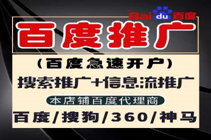 某企业SEM推广策略的调整与效果提升
